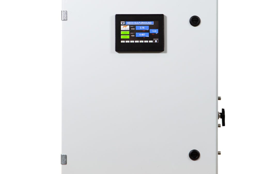 Dual H2S & CO2 Gas Analyzer