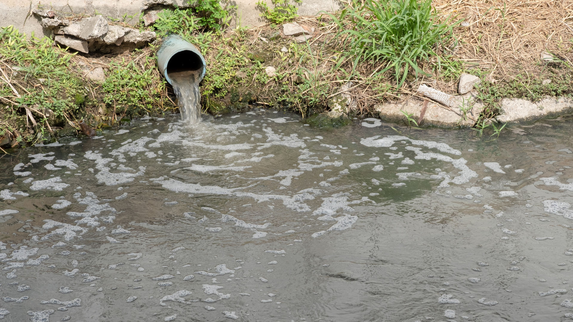 Effluent Water