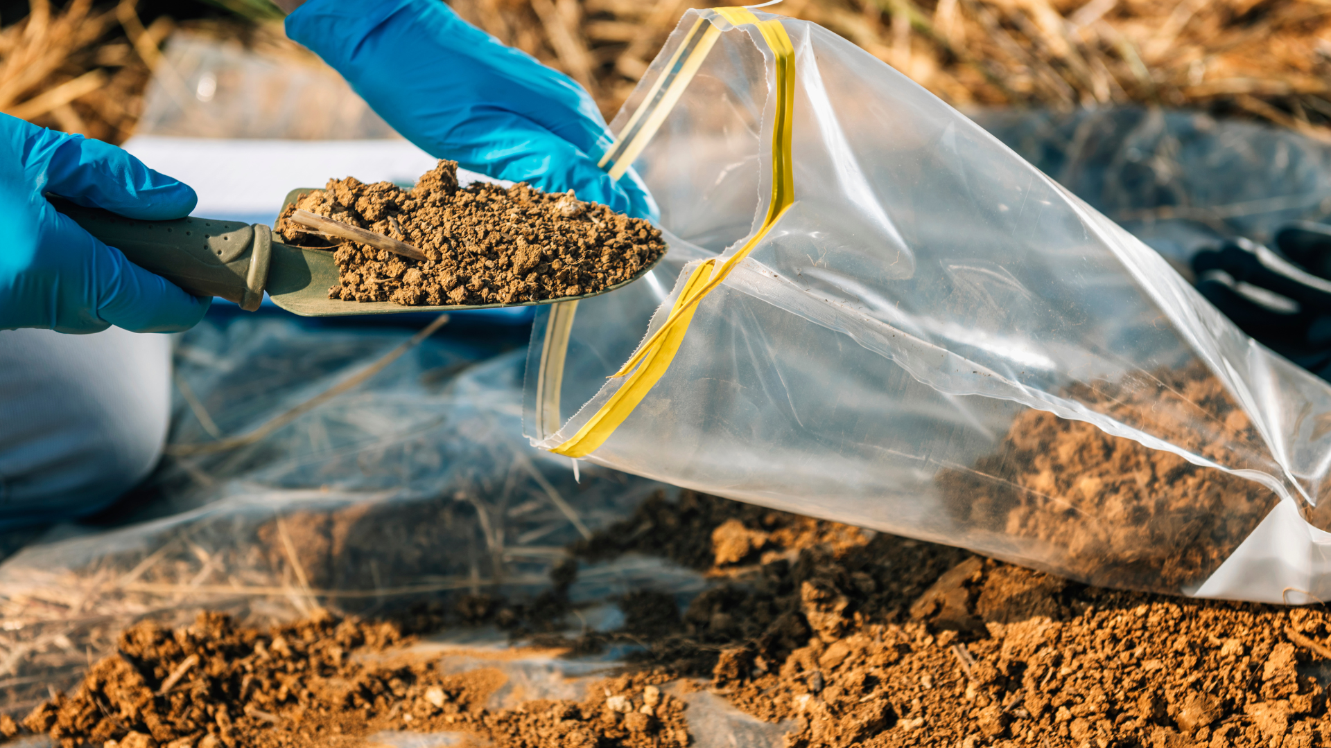 Environmental Remediation
