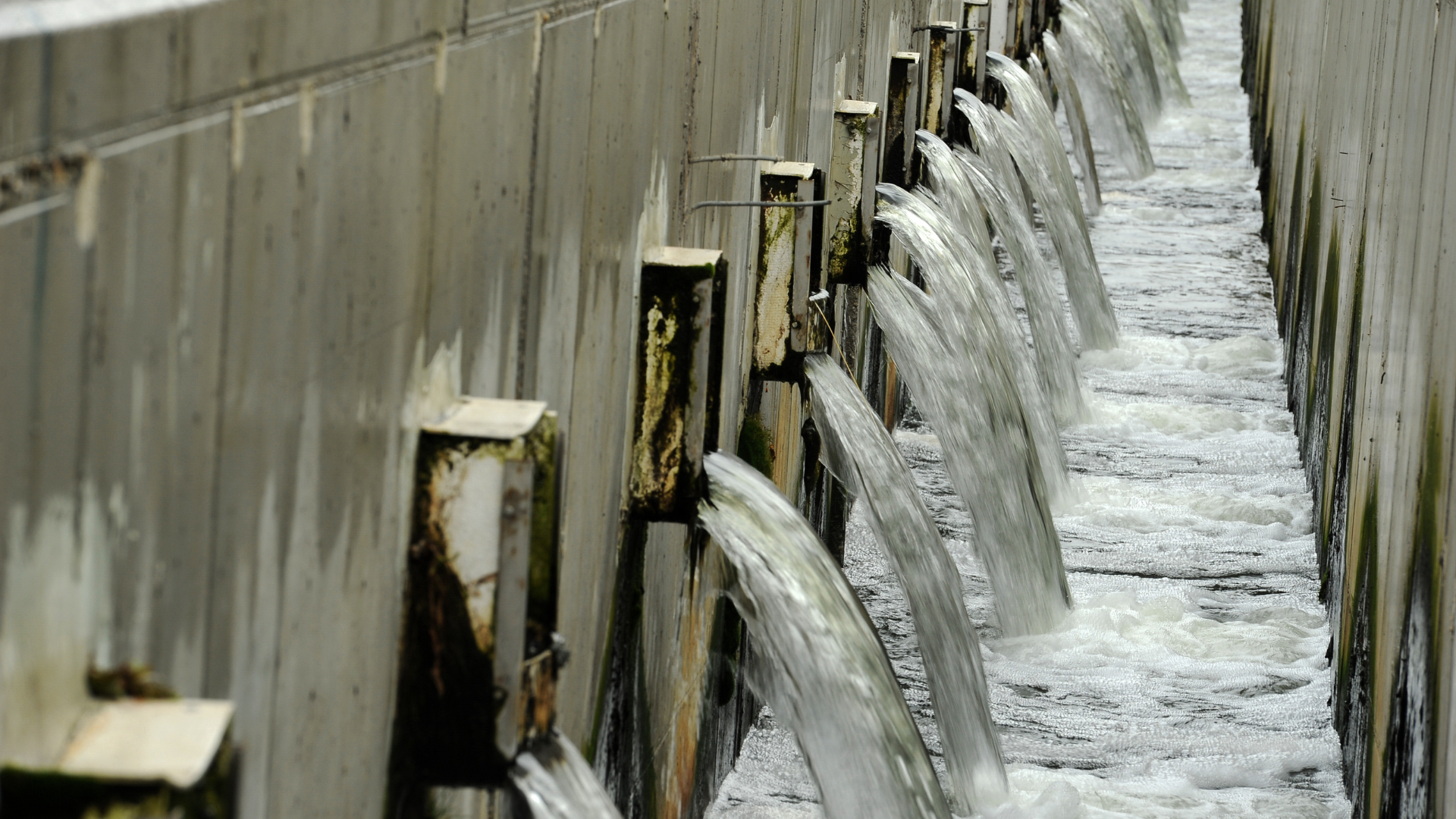 Municipal Water Treatment Plants