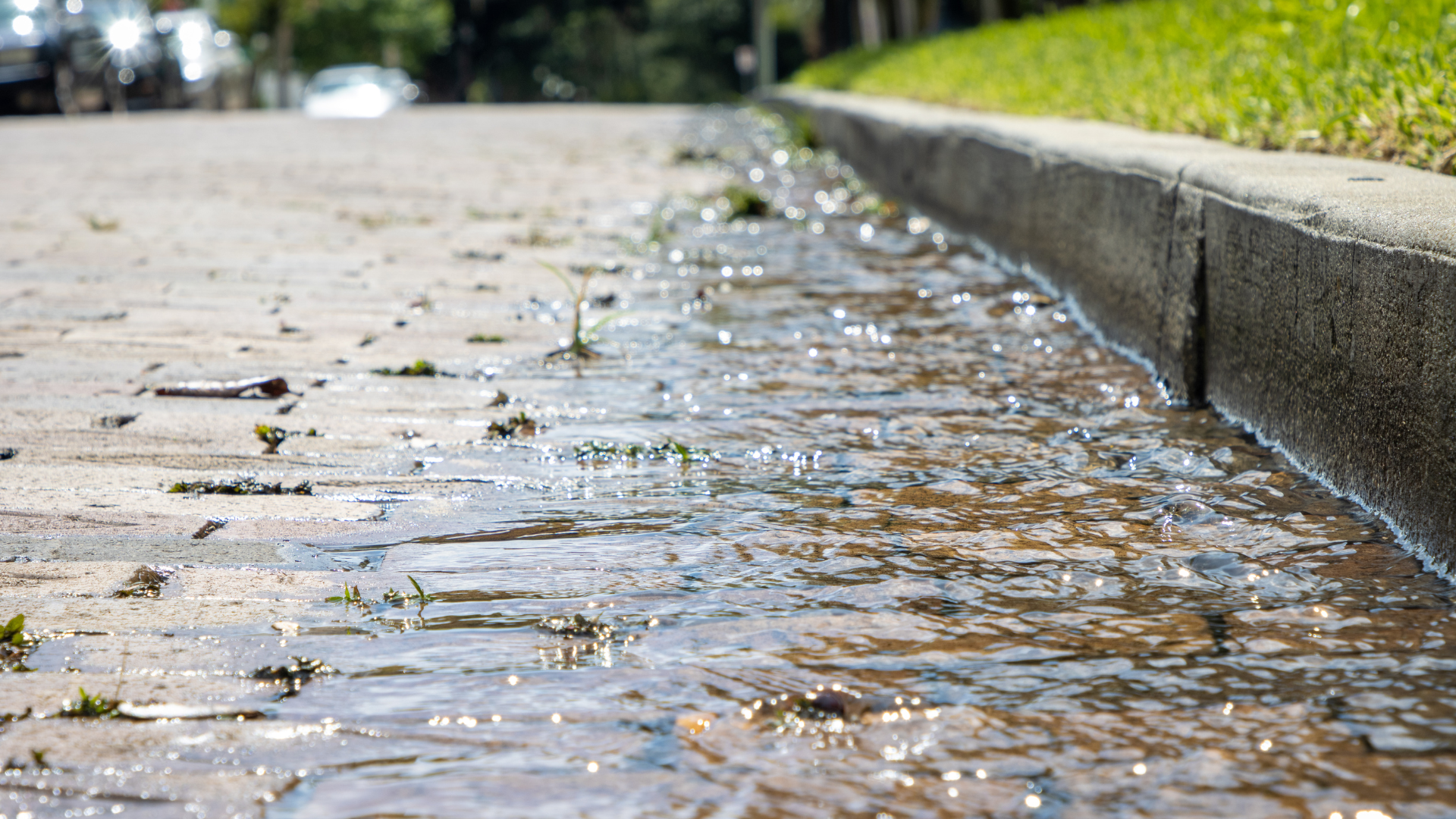 Storm Runoff Water